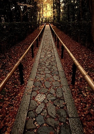 Stone Walkway, Kyoto, Japan