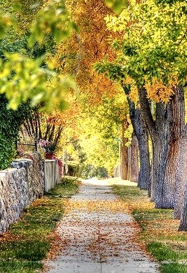 Autumn Street, Helena, Montana