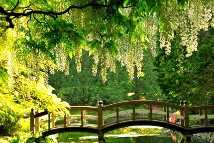 Japanese Garden, Victoria Island, Canada