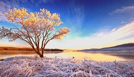 Sunrise Frost, Sutherland, Scotland