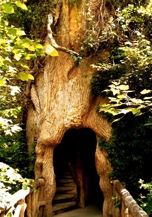 Treehouse, Chaumont-sur-Loire, France