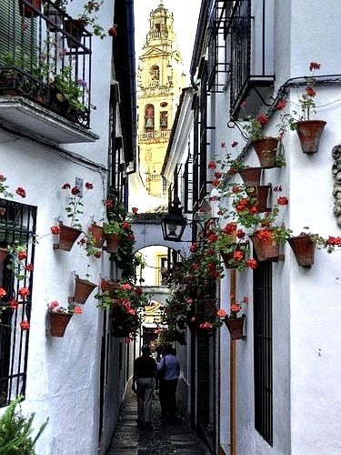 Narrow Street, Andalusia, Spain 