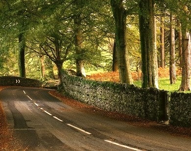 Stone Wall Road, Windemere, England