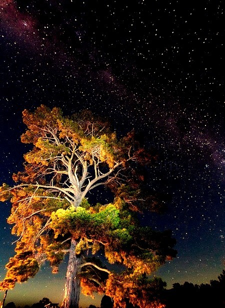 Milky Way, New South Wales, Australia