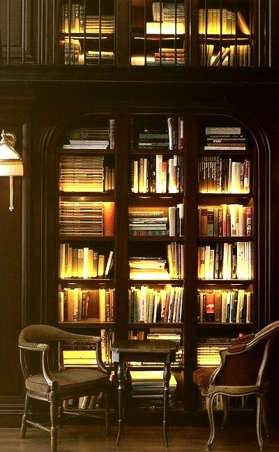 Lighted Bookcase, New York City