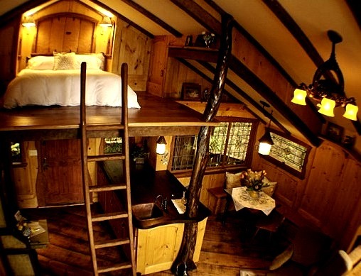Treehouse Loft Bed, Fall City, Washington